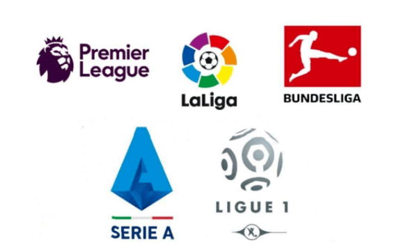 變數的足球 變數的足球